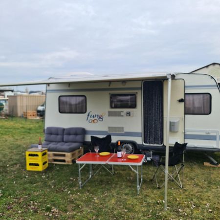 Louise'S Camper 호텔 Neusiedl an der Zaya 외부 사진